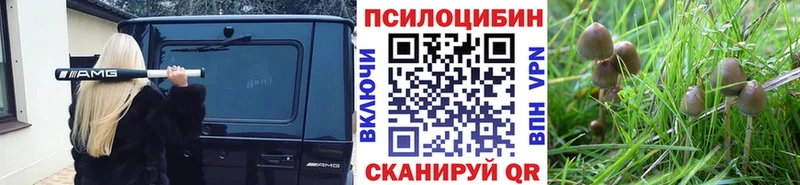 Галлюциногенные грибы MAGIC MUSHROOMS  Купить  Куйбышев 